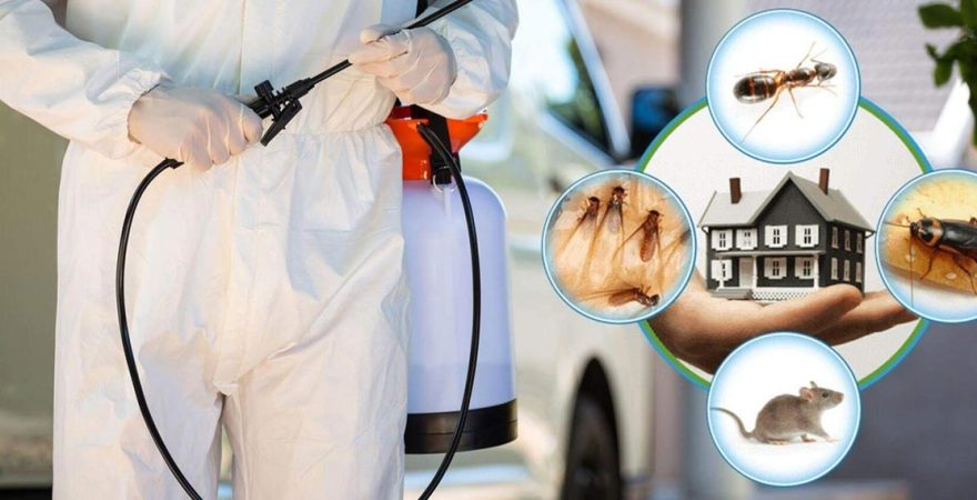 Marmaraereğlisi Böcek İlaçlama