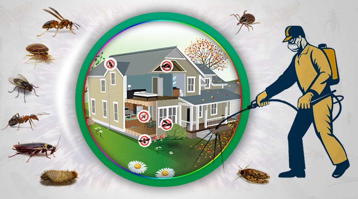 Marmaraereğlisi Böcek İlaçlama