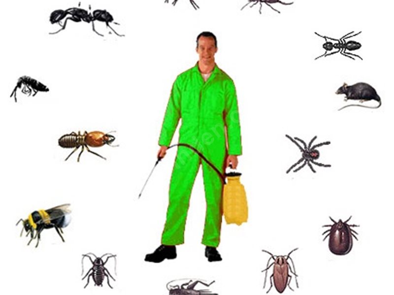 Marmaraereğlisi Böcek İlaçlama